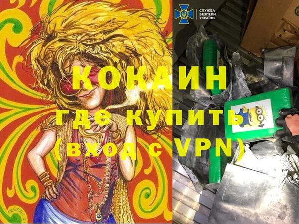 твердый Абаза