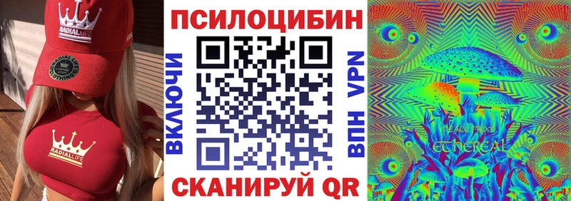 МЕГА как зайти Дмитровск Псилоцибиновые грибы MAGIC MUSHROOMS